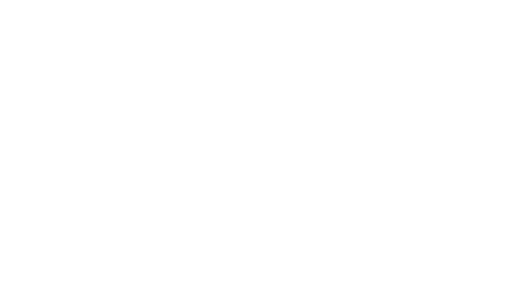 Flor Lopez